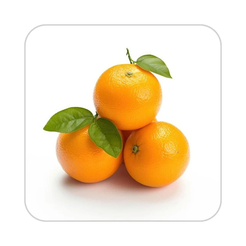 زیر لیوانی کاکتی طرح میوه مدل mp21742