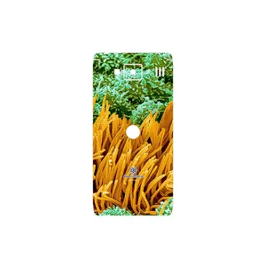 MAHOOT Atom Universe 6 Cover Sticker for Motorola Droid Razr HD