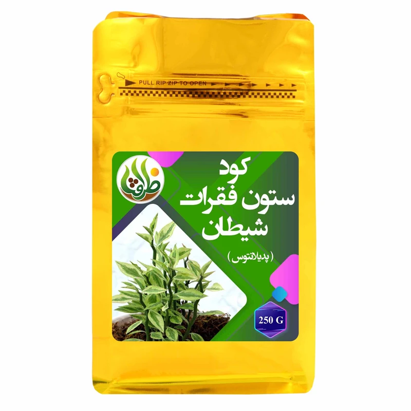 کود کامل ستون فقرات شیطان ظرافت مدل KO21106 وزن 250 گرم