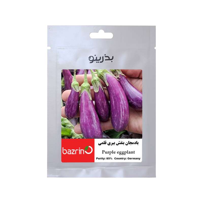بذر بادمجان بنفش ببری قلمی بذرینو کد 191