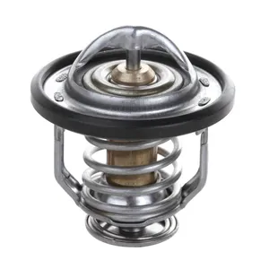 LFB479Q-1306100B Thermostat For Lifan