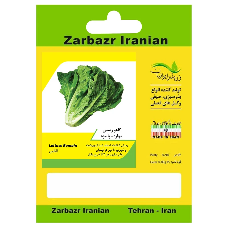 بذر کاهو رسمی پائیزه زربذر ایرانیان کد ZBP-31