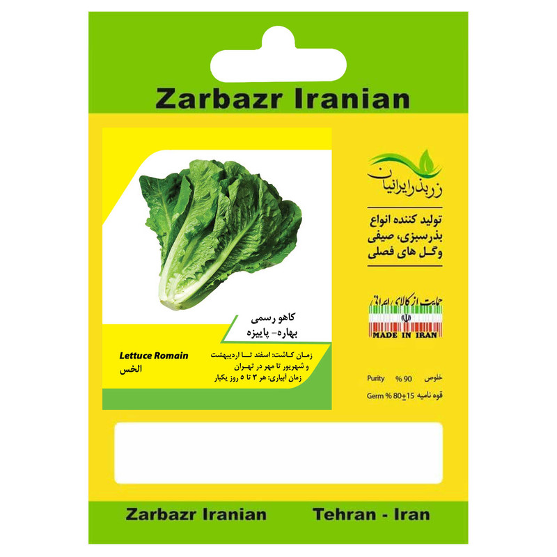 بذر کاهو رسمی پائیزه زربذر ایرانیان کد ZBP-31