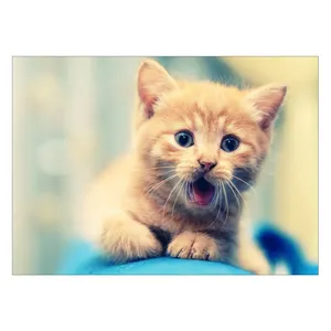 Wensoni Cute Cat Chassis 40 x 30