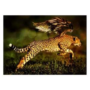 Wensoni Running Strong Tiger Chassis Size 50 x 70 Cm