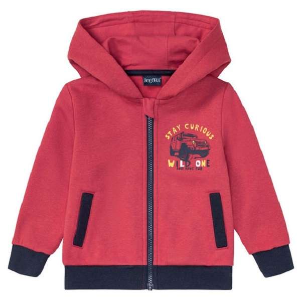 سویشرت پسرانه لوپیلو مدل IKIDS043