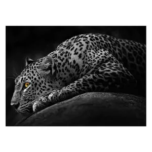 Wensoni Dark Leopard  Chassis Size 50 x 70 Cm