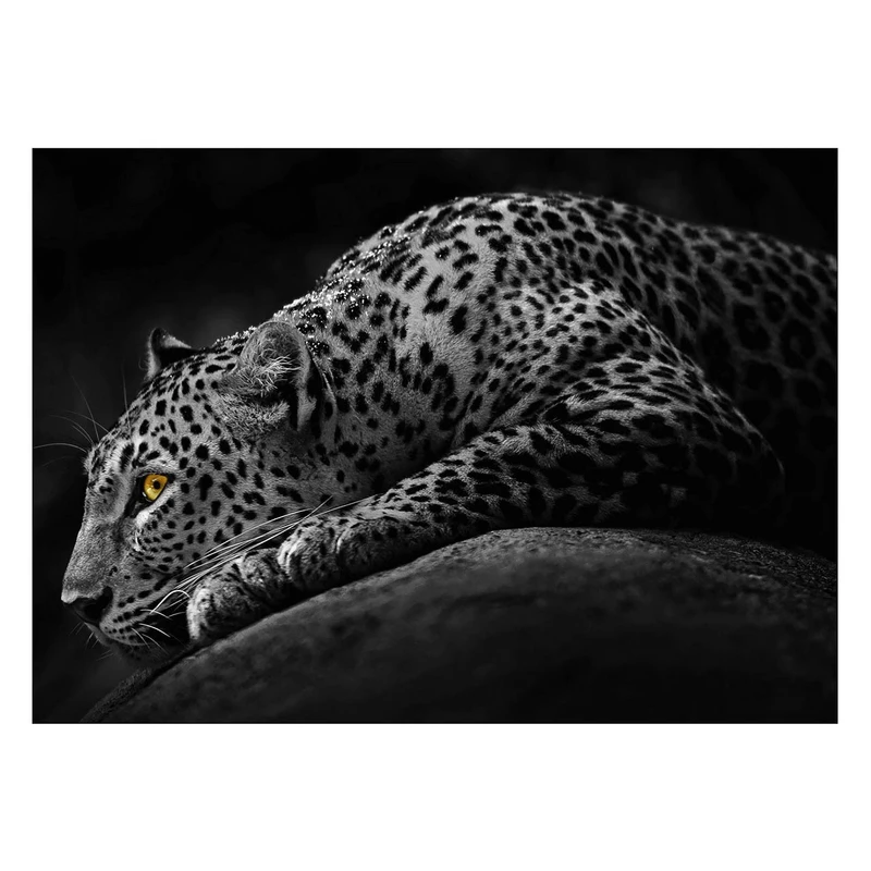تابلو شاسی ونسونی طرح Dark Leopard سایز 50x70 سانتی متر