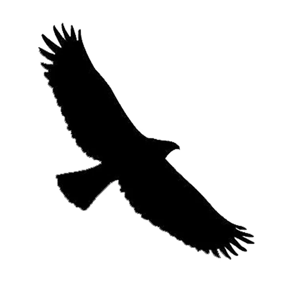 برچسب بدنه خودرو مارکت میکس طرح عقاب کد 1120MMIX