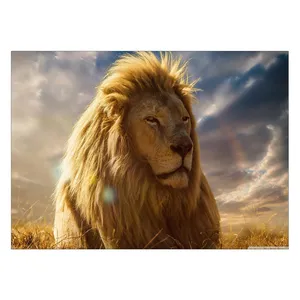 Wensoni Wise Lion Chassis Size 50 x 70 Cm