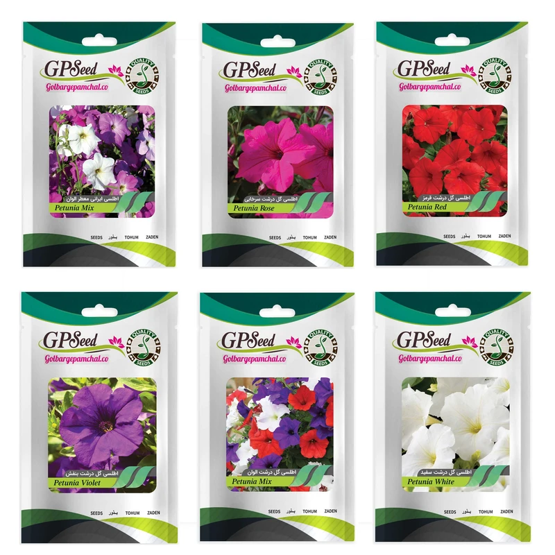بذر گل اطلسی همه رنگ گلدانی گلبرگ پامچال کد G-P-GP-06 مجموعه 6 عددی