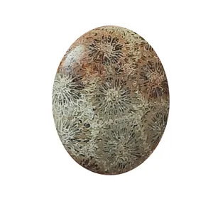 سنگ مرجان کد mr3