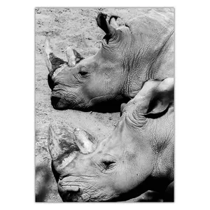 Wensoni Rhinoceros Ending Up Chassis 40 x 30