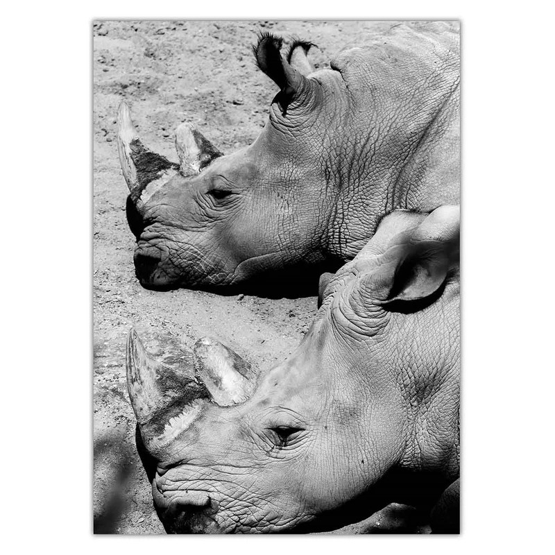تابلو شاسی ونسونی طرح Rhinoceros Ending Up سایز 30x40 سانتی متر