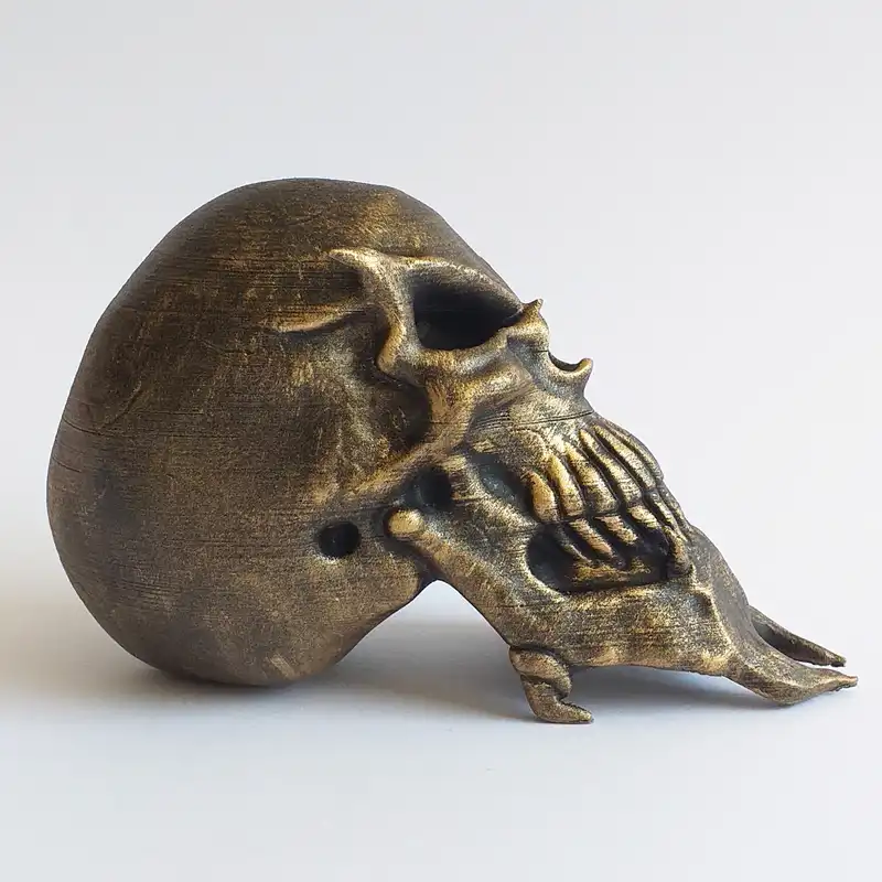 مجسمه مدل جمجمه انسان