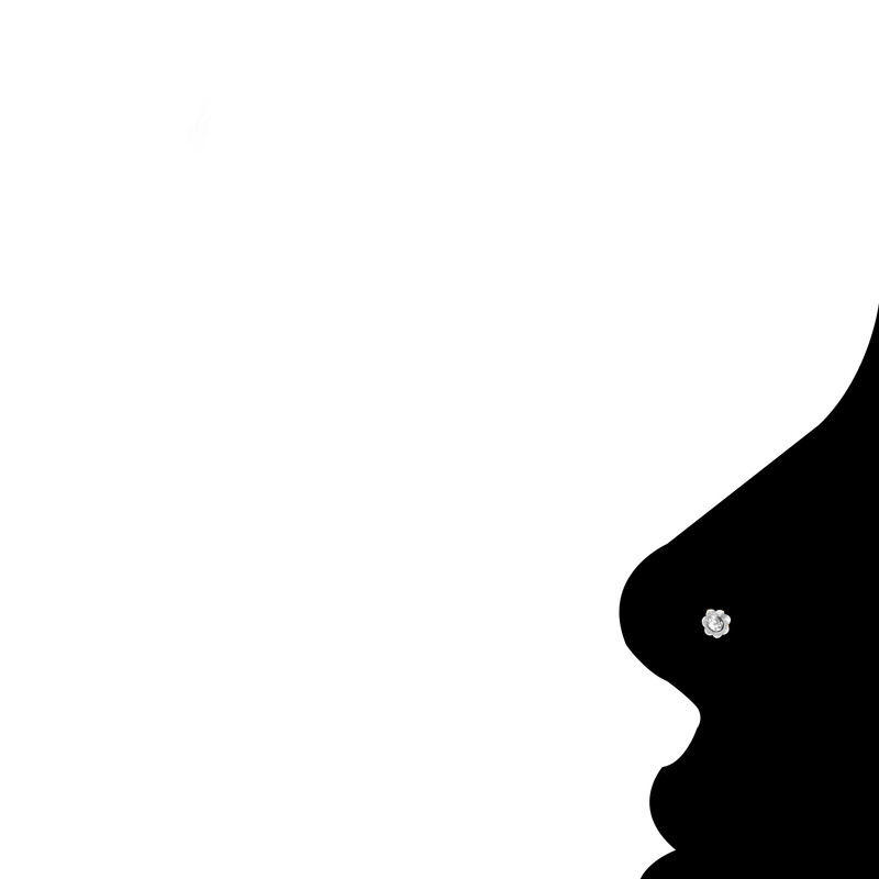 پیرسینگ بینی زنانه کد PS651