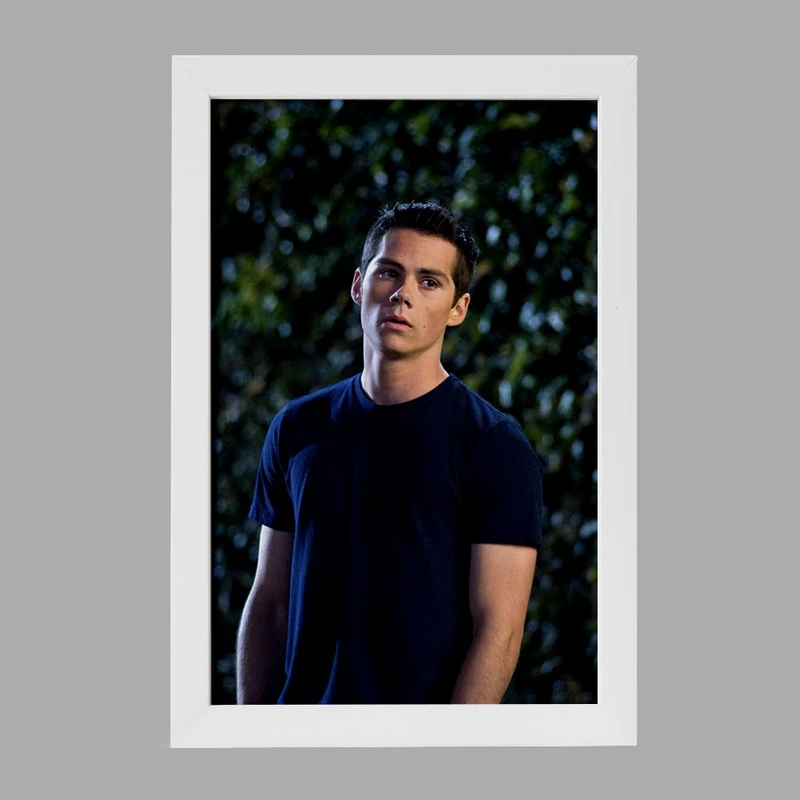 تابلو خندالو مدل استایلز استلینسکی سریال تین ولف Teen Wolf کد 28446