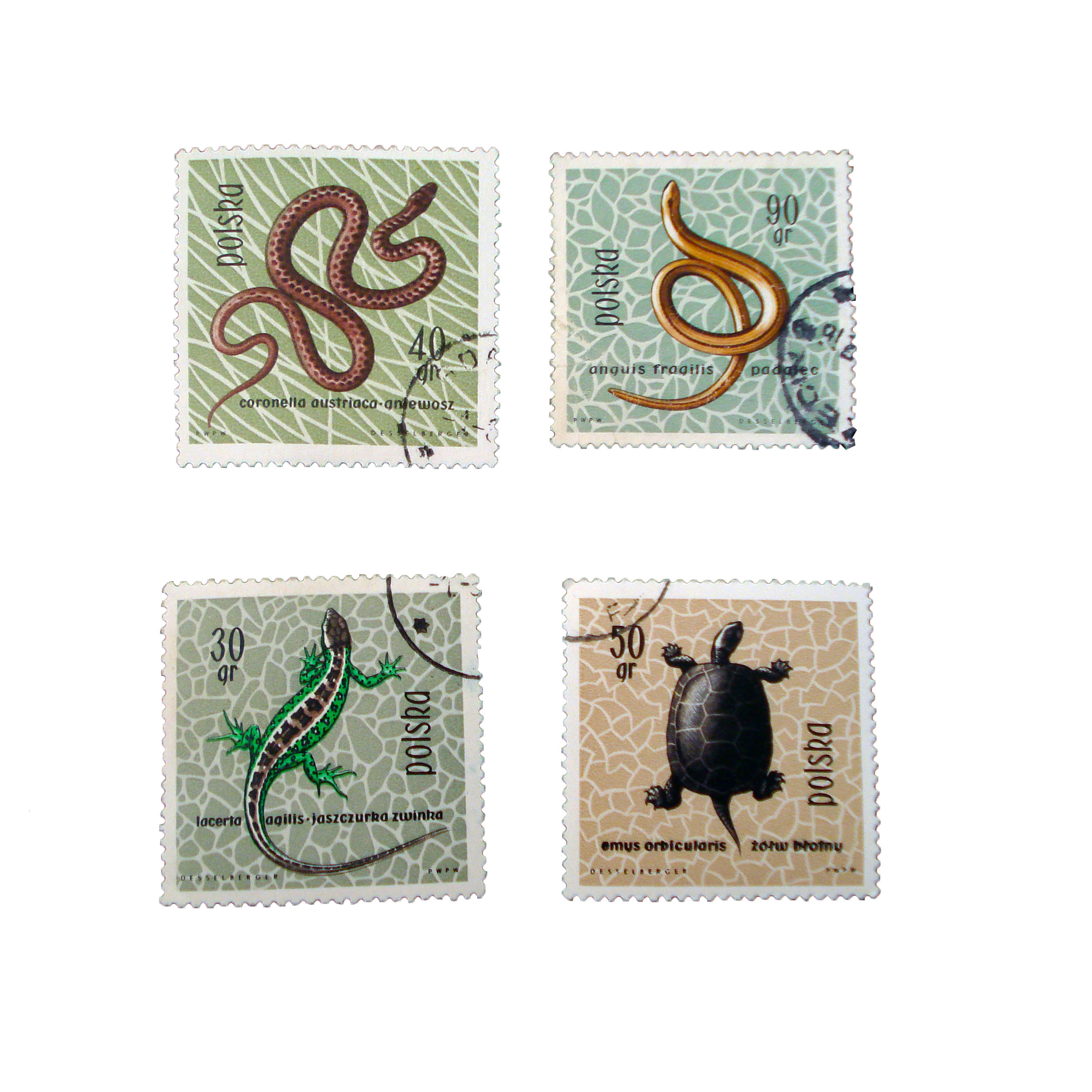 تمبر یادگاری طرح طبیعت کد mo-524 مجموعه 4 عددی