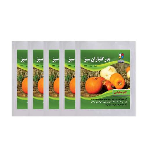 بذر کدو حلوایی شرکت گلباران سبز گیلان مدل KH5 بسته 5 عددی
