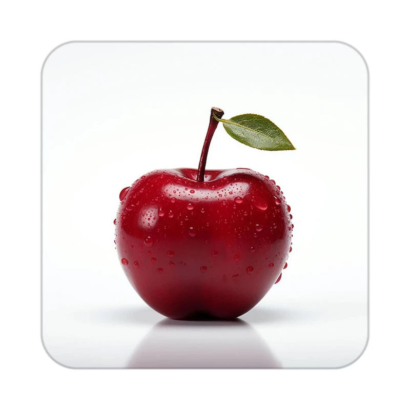 زیر لیوانی کاکتی طرح میوه مدل mp21877