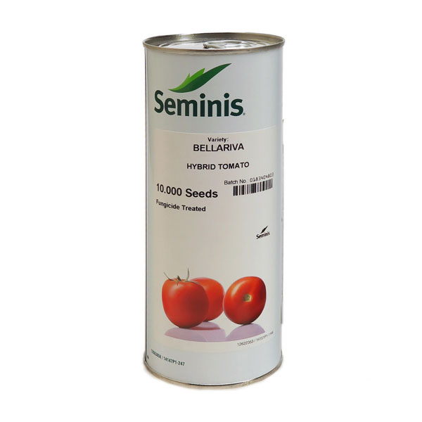 بذر گوجه فرنگی سمینیس مدل F1