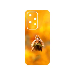 MAHOOT Squirrel Cover Sticker for Honor 200 Lite