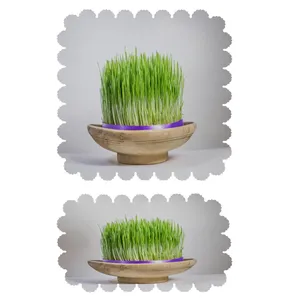 ست رومیزی 2 تکه کد 5763 