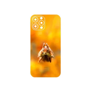 MAHOOT Squirrel Cover Sticker for Apple iPhone 12 Pro Max