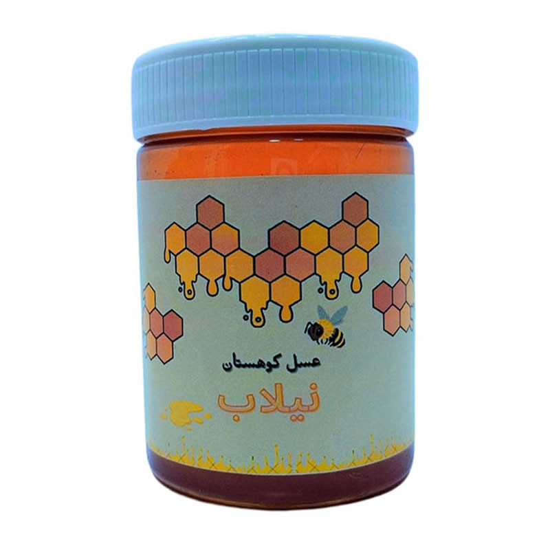 عسل کوهستان نیلاب - 460 گرم