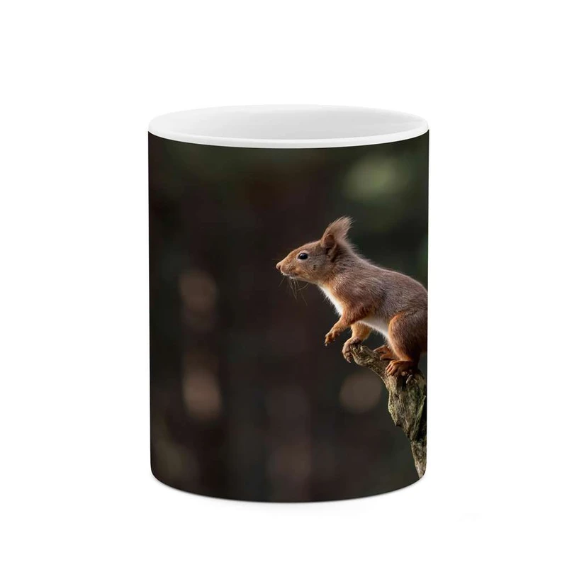 ماگ کاکتی مدل سنجاب کد mgh14824