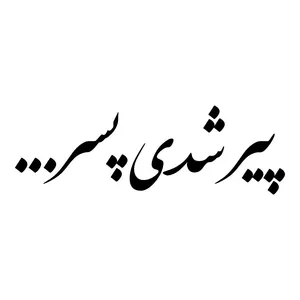 برچسب بدنه خودرو طرح پیر شدی پسر کد MT-B493