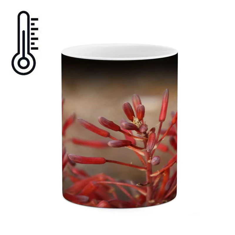 ماگ حرارتی کاکتی مدل منظره کد mgh17718