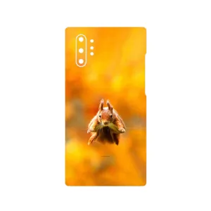 MAHOOT Squirrel Cover Sticker for Samsung Galaxy Note 10 Plus