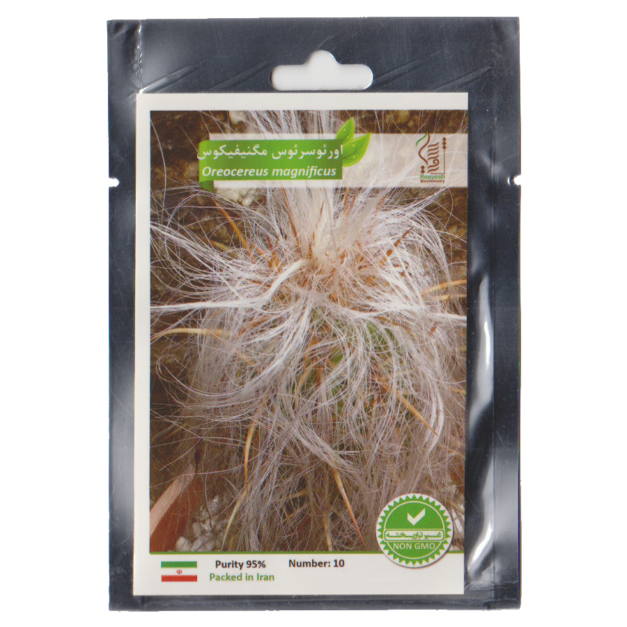 بذر کاکتوس اورئوسرئوس مگنیفیکوس رویش بذر مدل CA121