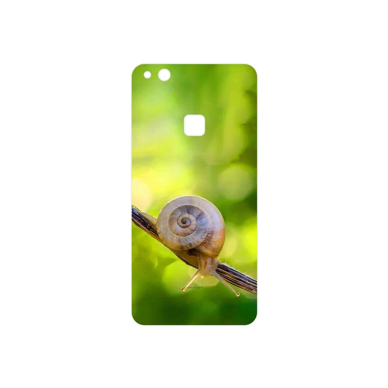 برچسب پوششی ماهوت مدل Snail مناسب برای گوشی موبایل هوآوی P10 Lite