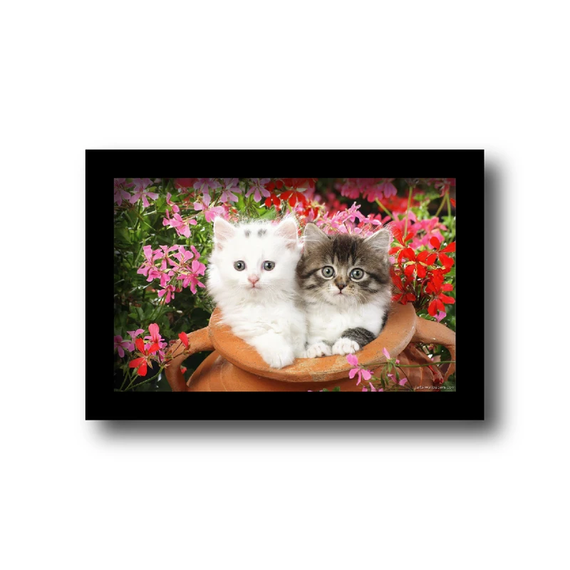 تابلو مدل حیوانات خانگی طرح گربه های ناز گوگولی