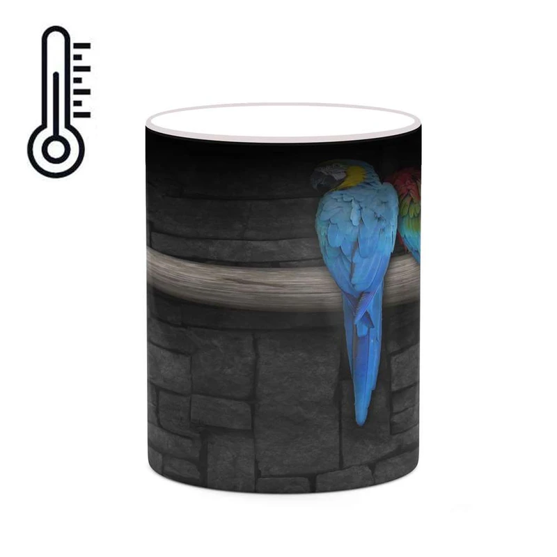 ماگ حرارتی کاکتی مدل نقاشی کارتونی کد mgh18717