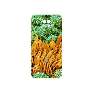 MAHOOT Atom Universe 6 Cover Sticker for LG X Cam
