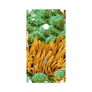 MAHOOT Atom Universe 6-FullSkin Cover Sticker for Tecno Camon CX Air