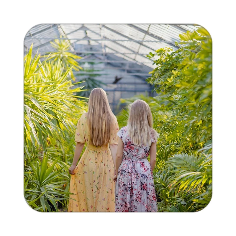 زیر لیوانی کاکتی طرح گل مدل mp19766