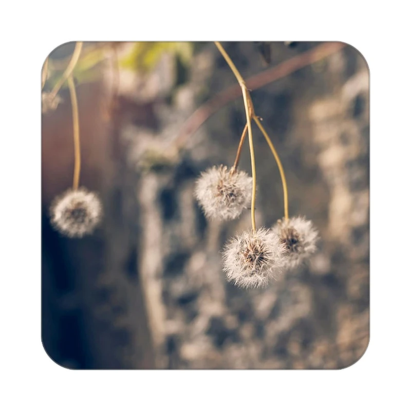 زیر لیوانی کاکتی طرح گل مدل mp16793