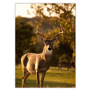 Wensoni Deer Standing Chassis Size 50 x 70 Cm