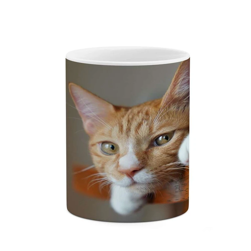 ماگ کاکتی مدل گربه کد mgh16922