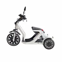 اسکوتر برقی بیرو  ال بی مدل T3