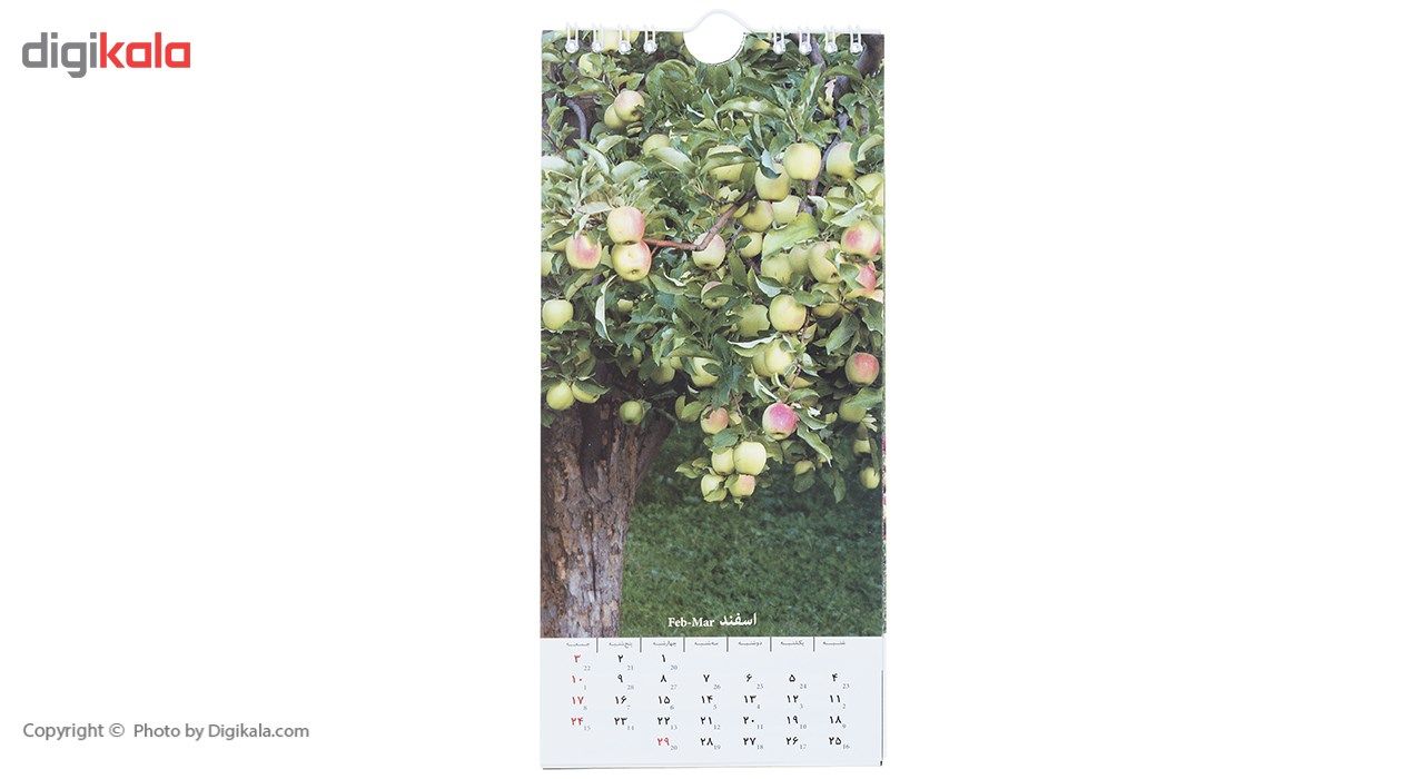تقویم دیواری 1397 طرح سیب main 1 3