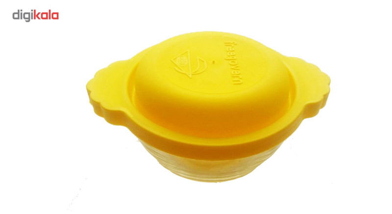 سماور برقی ریوالد مدل Rabi کد 800204 به همراه یک عدد ظرف نگهداری غذا گلدایت