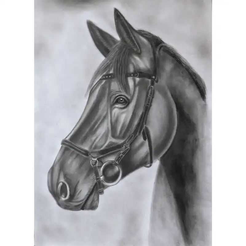نقاشی سیاه قلم طرح اسب مدل 56896