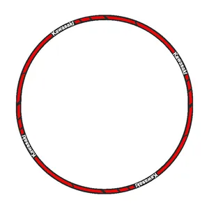 برچسب دور رینگ موتورسیکلت رایسان کد Dm016Kr