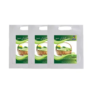 مجموعه بذر کدو گلباران سبز بسته 3 عددی