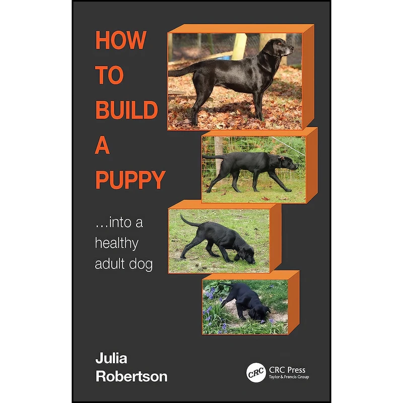 کتاب How to Build a Puppy اثر Julia Robertson انتشارات CRC Press